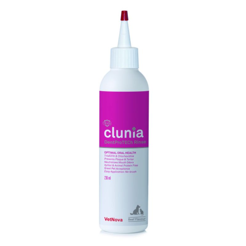 CLUNIA DENTPROTECH RINSE 236 ML