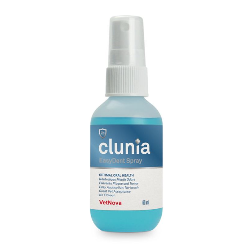 CLUNIA EASY DENT SPRAY 60 ML