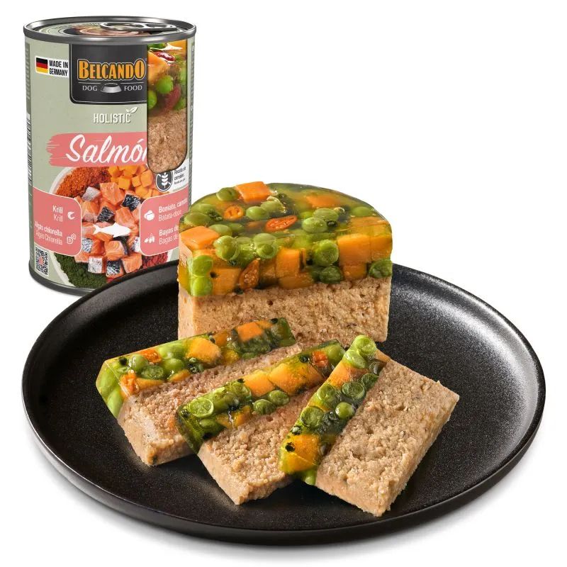 COMIDA HUMEDA PERRO BELCANDO HOLISTIC SALMON 6 X 400 G