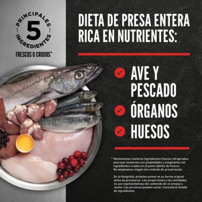 ORIJEN GATOS SIX FISH 5,4 KG