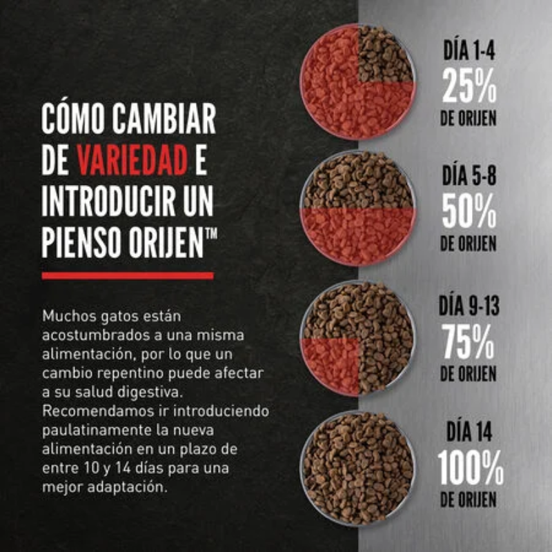 ORIJEN GATOS SIX FISH 5,4 KG