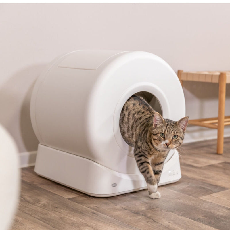 ARENERO INTELIGENTE GATOS TRIXIE