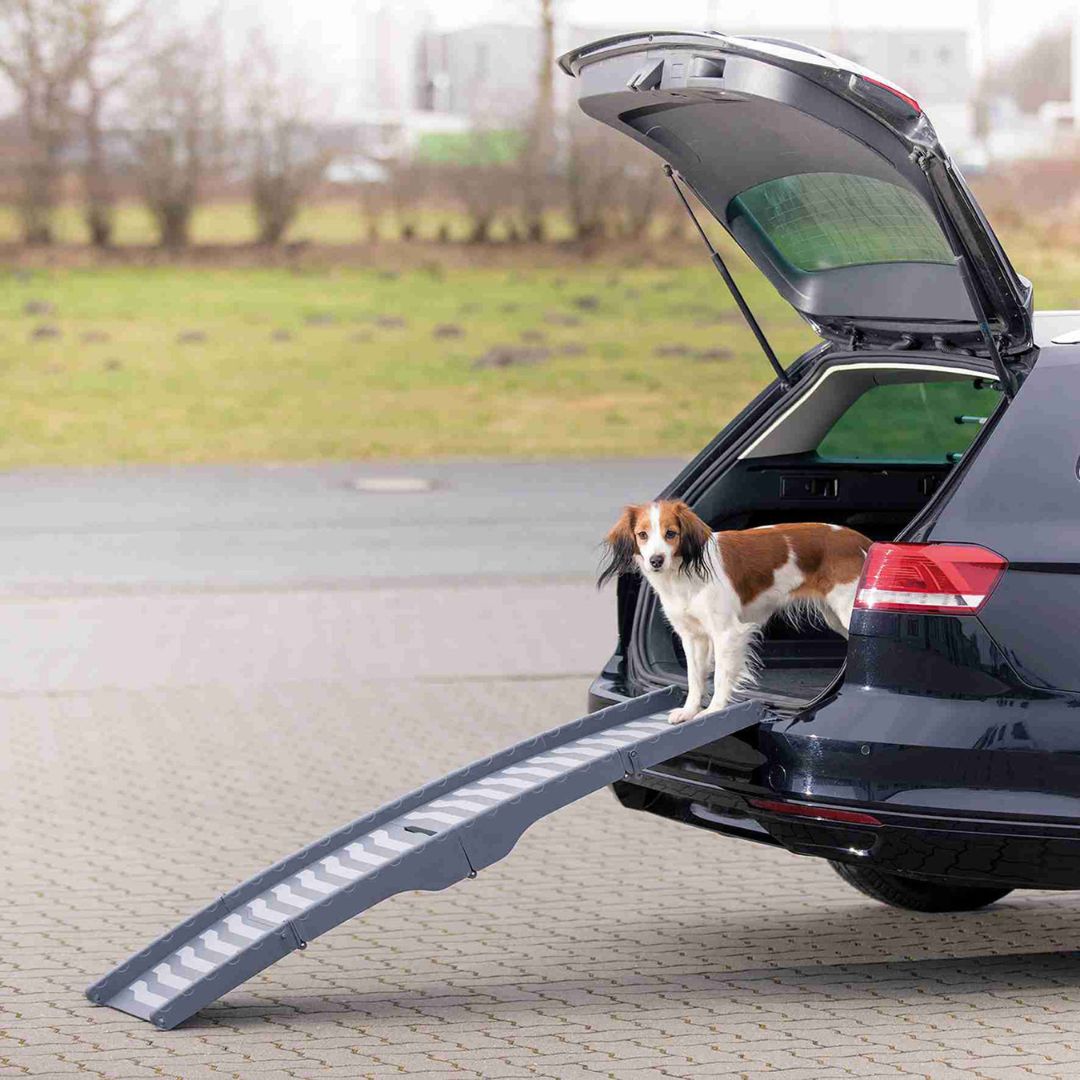 RAMPA COCHE PLEGABLE PETWALK PARA PERROS HASTA 25 KG 150 CM