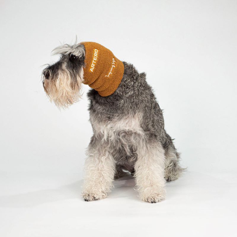 ARTERO SET OREJEROS SECADO FOCUS