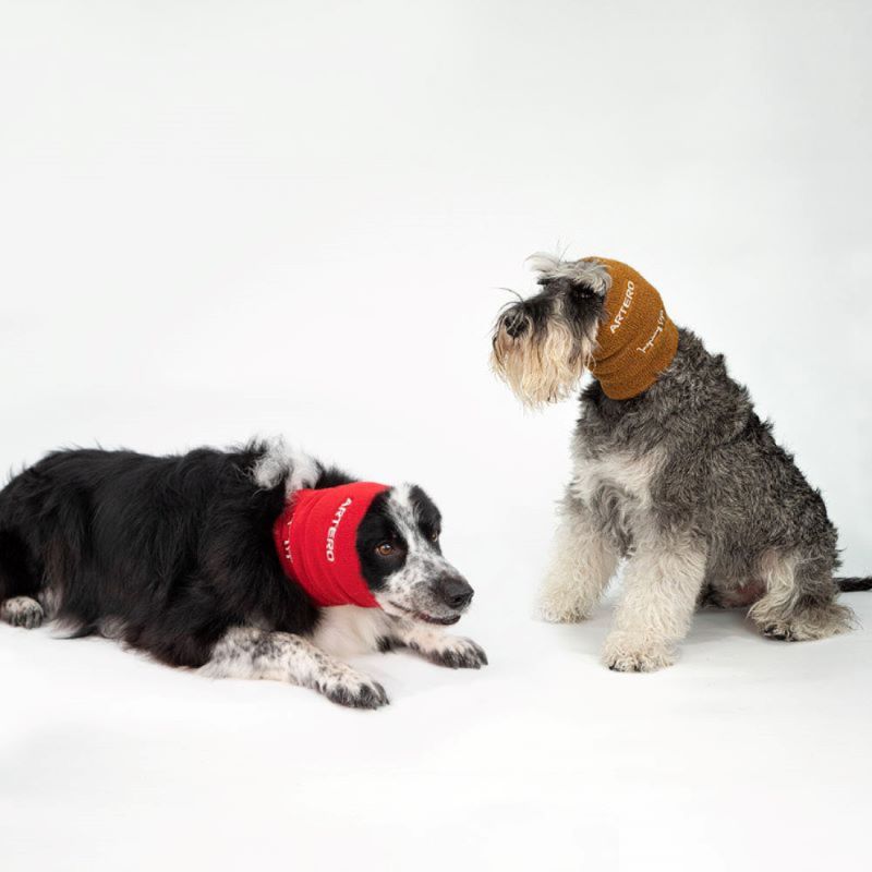 ARTERO SET OREJEROS SECADO FOCUS