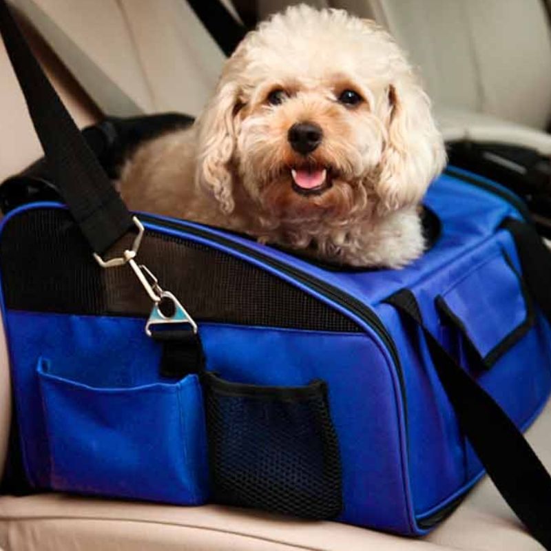FREEDOG TRANSPORTIN COCHE PERROS Y GATOS 44 X 29 X 34 CM