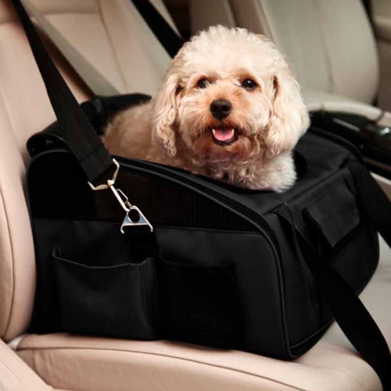 FREEDOG TRANSPORTIN COCHE PERROS Y GATOS 44 X 29 X 34 CM