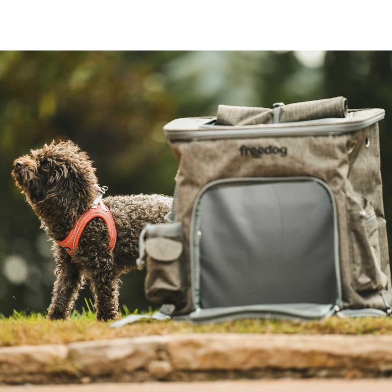FREEDOG MOCHILA ETNA MARRON 31 X 40 X 43 CM