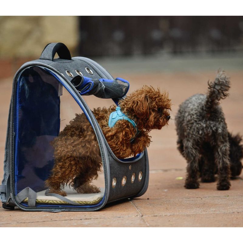 FREEDOG MOCHILA BETA GRIS 35 X 30 X 42 CM