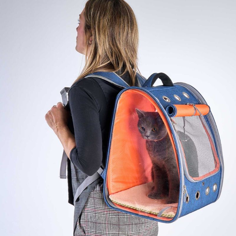 FREEDOG MOCHILA BETA AZUL 35 X 30 X 42 CM
