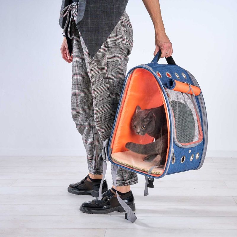 FREEDOG MOCHILA BETA AZUL 35 X 30 X 42 CM