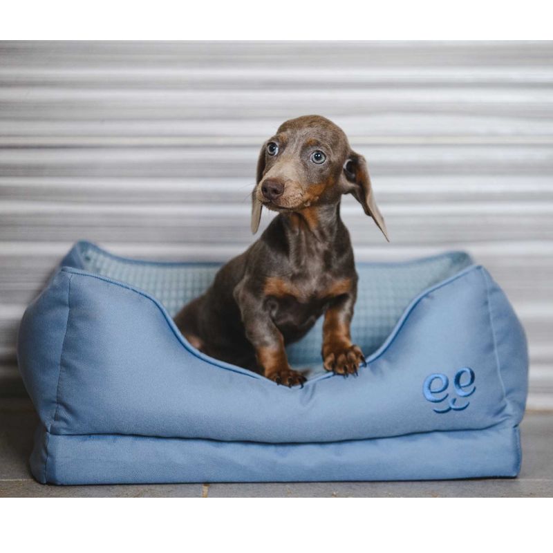 CAMA GLACIAL FREEDOG PERROS AZUL_