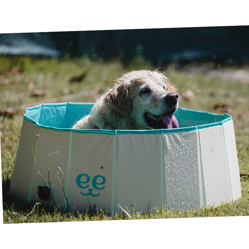 FREEDOG PISCINA PARA PERROS ANTIDESLIZANTE