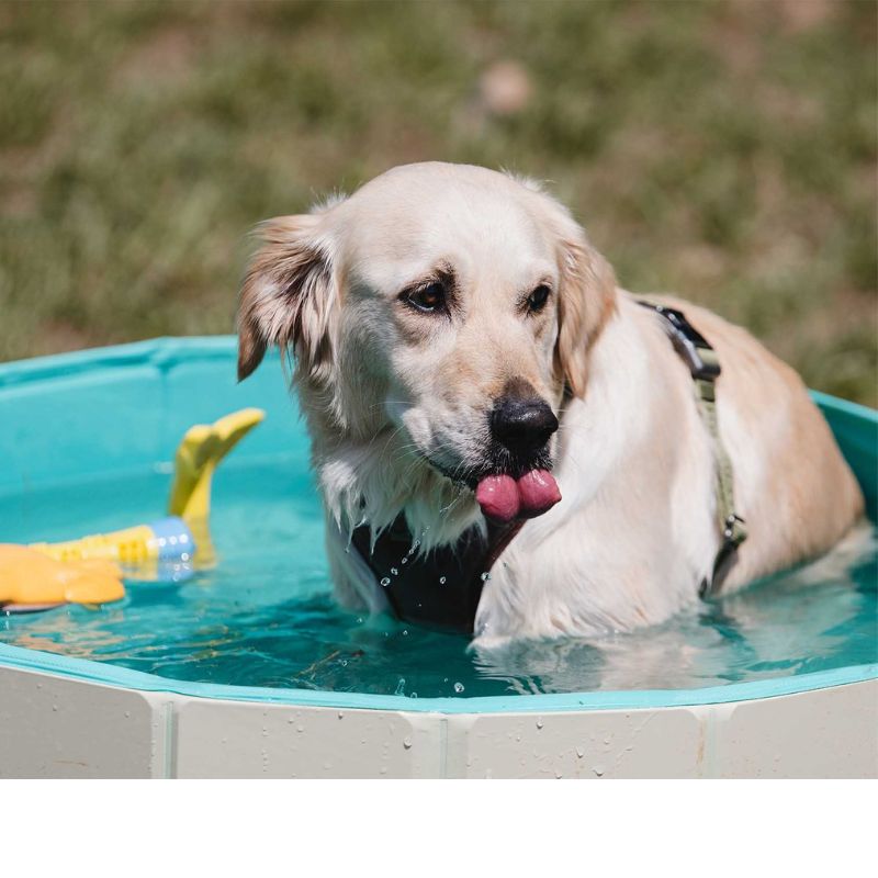 FREEDOG PISCINA PARA PERROS ANTIDESLIZANTE