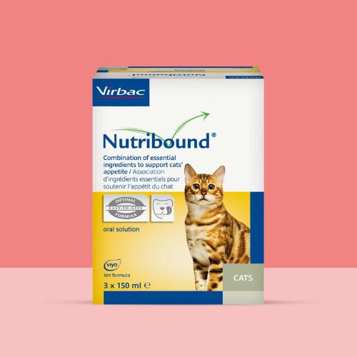 NUTRIBOUND GATOS 3 X 150 ML