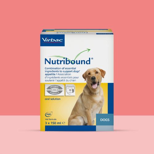 NUTRIBOUND PERROS 3 X 150 ML