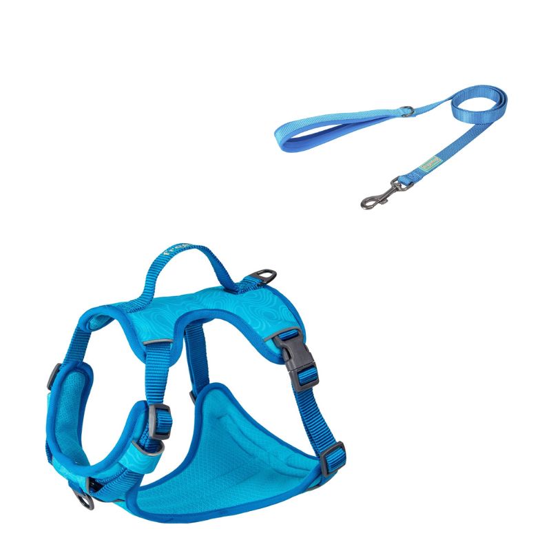 PACK ARNES Y RAMAL REFRESCANTE COOL PRO TECH AZUL FREEDOG