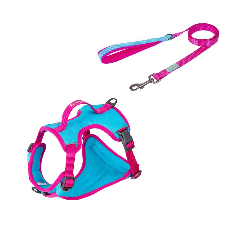 PACK ARNES Y RAMAL REFRESCANTE COOL PRO TECH FUCSIA FREEDOG