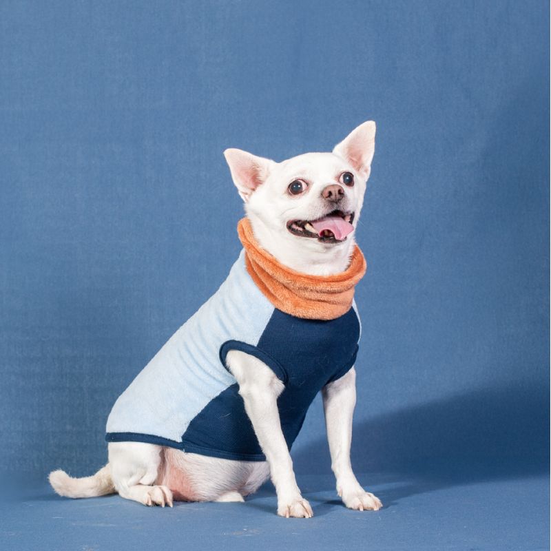 YAGU MODA JERSEY POLAR CELESTE MI&DOG