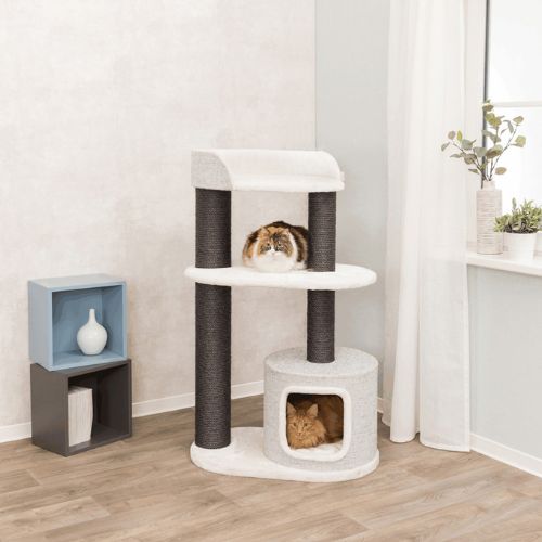 POSTE RASCADOR GATO XXL CARA