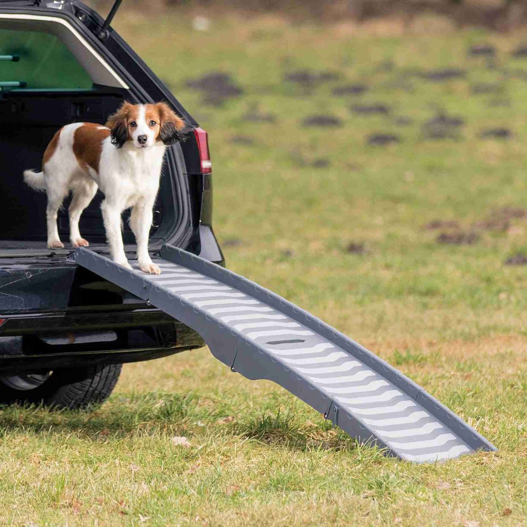 RAMPA COCHE PLEGABLE PETWALK PARA PERROS 150 CM
