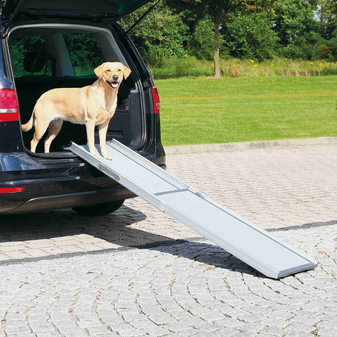 RAMPA COCHE REGULABLE PETWALK PARA PERROS