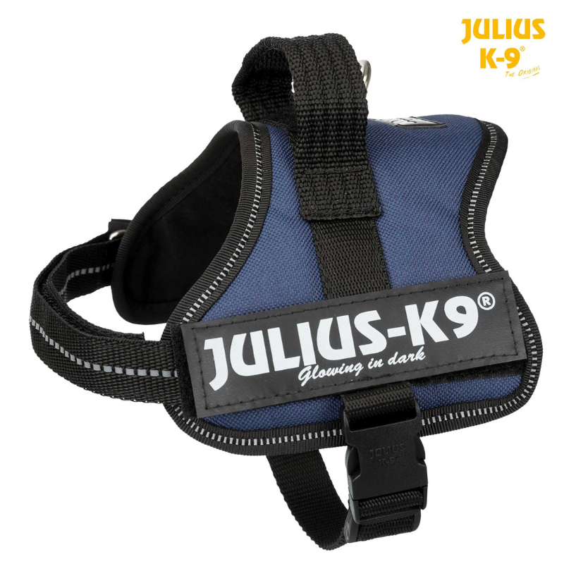 ARNES JULIUS-K9 POWER AÑIL
