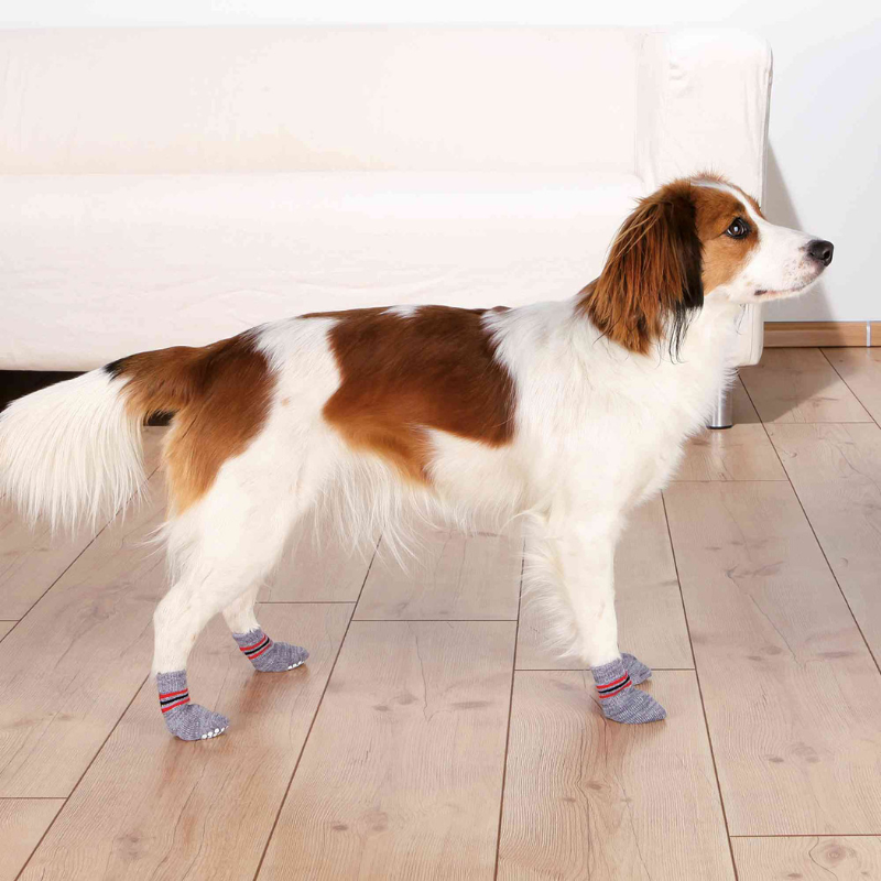 CALCETINES ANTIDESLIZANTES PARA PERROS GRIS TRIXIE