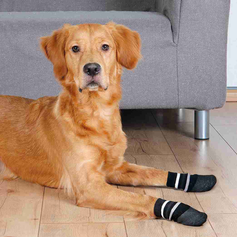 CALCETINES ANTIDESLIZANTES PARA PERROS NEGRO TRIXIE