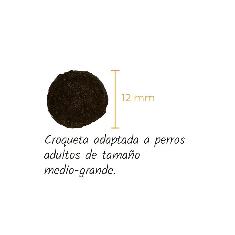 LENDA PERROS PAVO GRAIN FREE