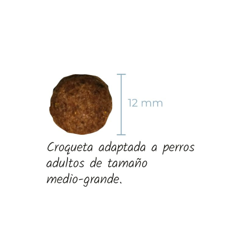 LENDA PERROS NATURE SENSITIVE