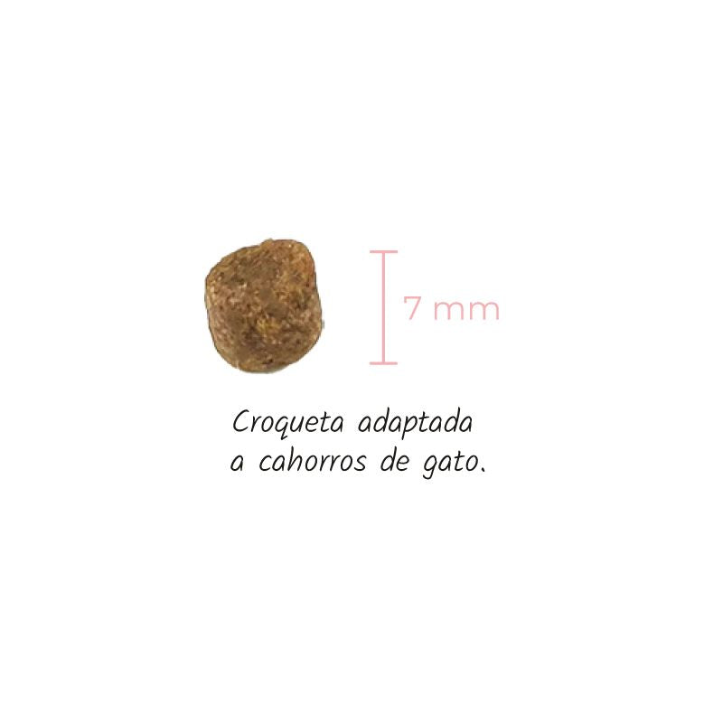 LENDA GATOS KITTEN AVE Y PESCADO NO GRAIN 2 KG