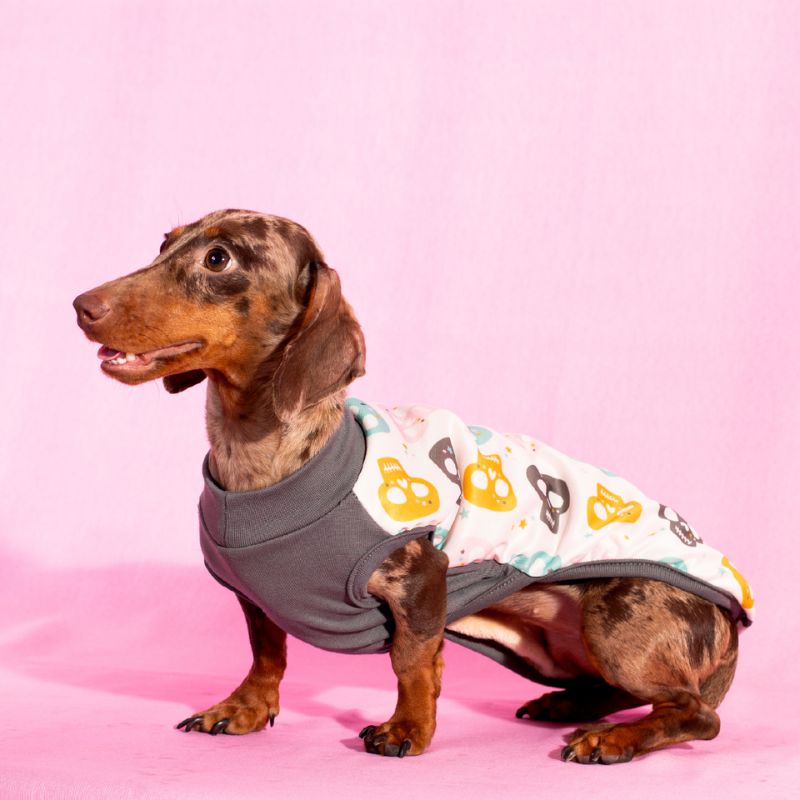 MI&DOG ABRIGO CAPA PERRO CALAVERAS