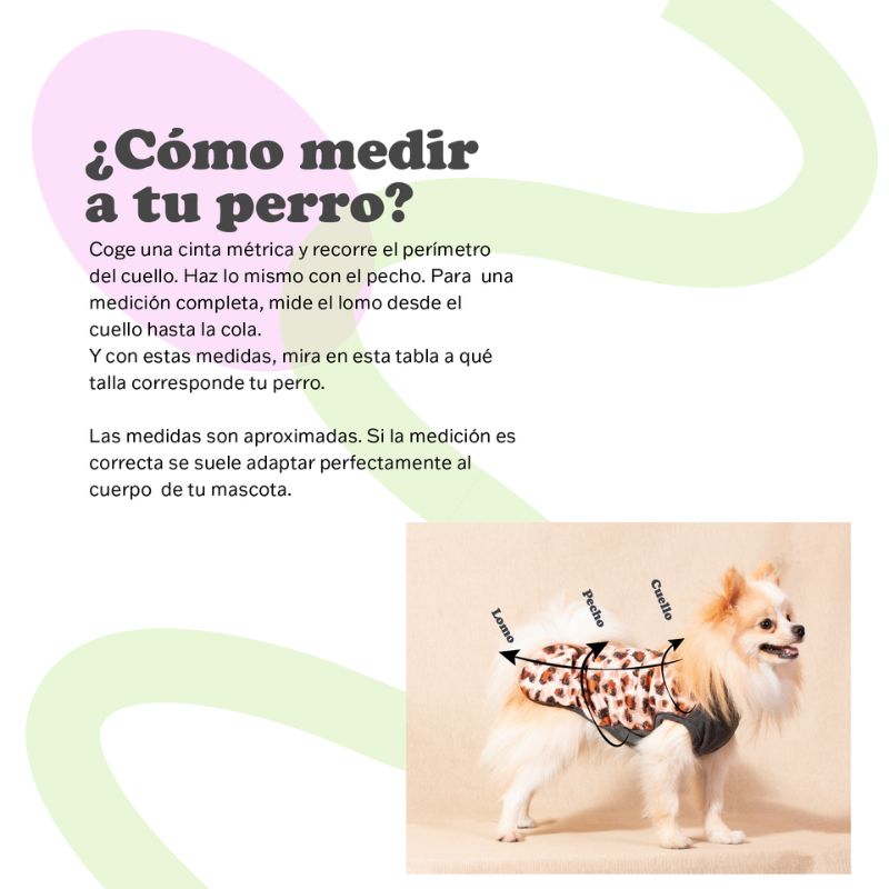 JERSEY PERROS PUNTO MI&DOG CORAZONES