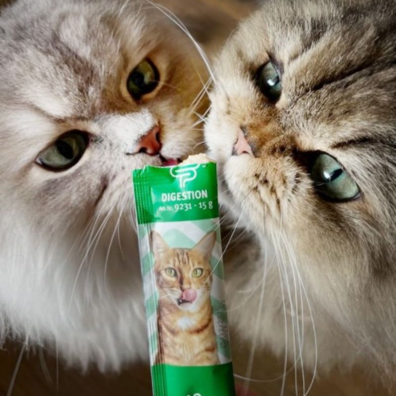 BUBIMEX CREAMY SNACK LIQUIDO GATO 50 TUBOS