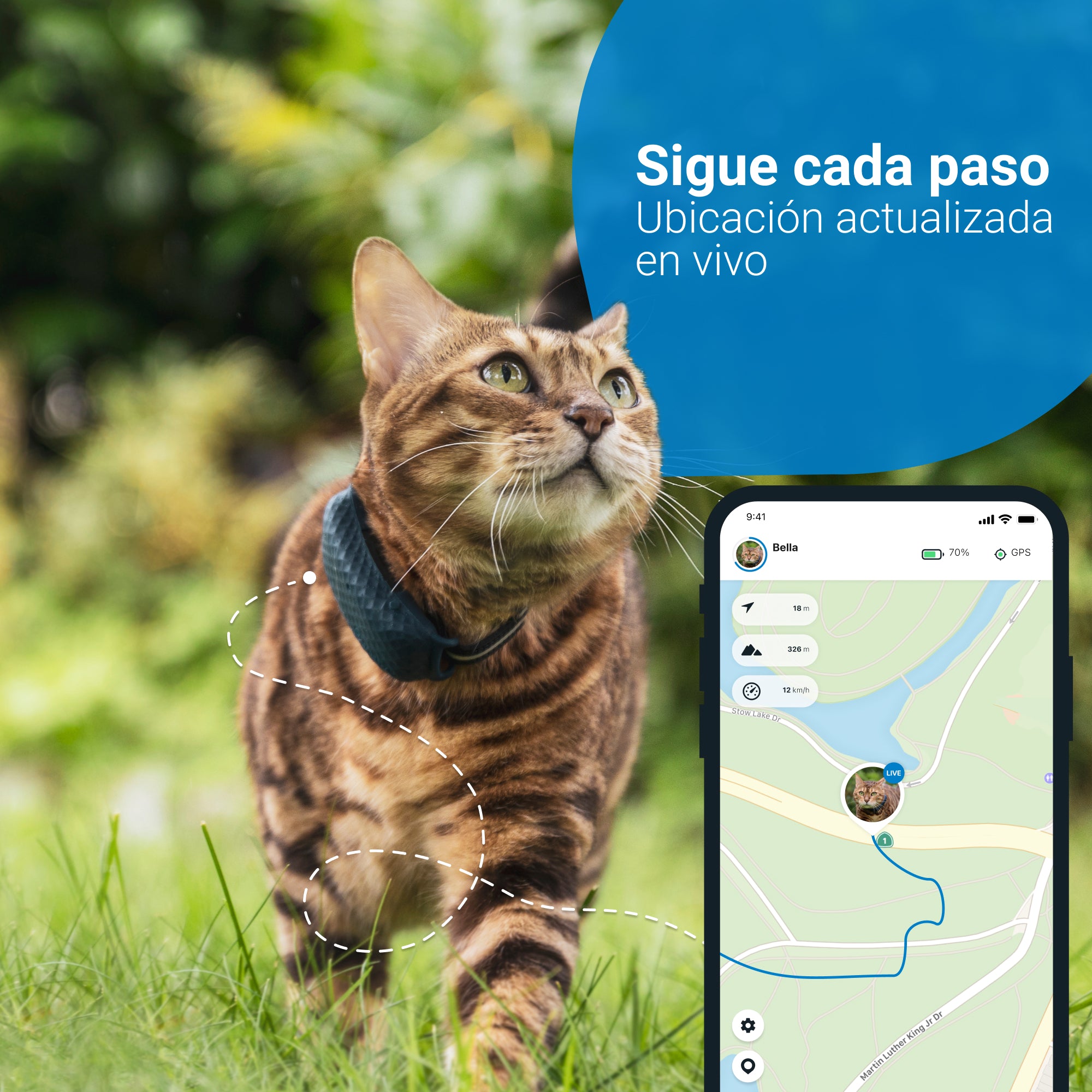 GPS Tractive con valla virtual para perros y gatos