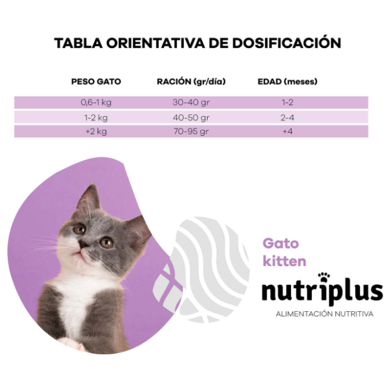 NUTRIPLUS GATOS KITTEN (2 KG)